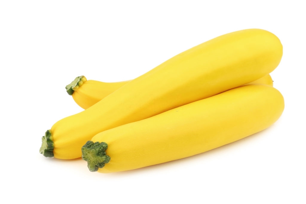 Yellow zucchini Compolor